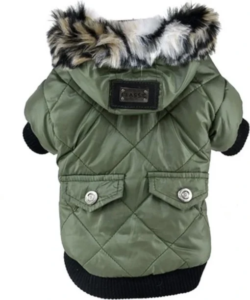 Pandada Hondenjas Met Capuchon - Dierenkleding - Groen - XXL -Dierenwinkel 1000x1200 3