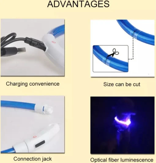 Merkloos LED Honden Halsband - VEILIGHEID - USB OplaadBaar - Geen Batterijen Nodig - Blauw 20 - 70 CM -Dierenwinkel