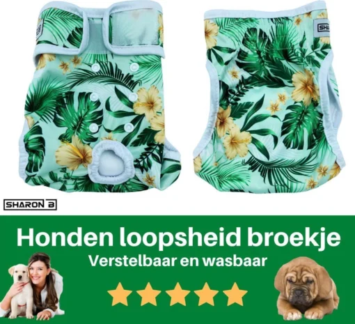 Loopsheidbroekje Hond - Bloemenprint - Maat L - Voor Grotere Teefjes - Herbruikbaar - Hondenbroekje - Hondenluier - Loopsheid - Ongesteldheid - Voorkomt Ongewenste Zwangerschappen Bij Teefjes - Milieuvriendelijk - Verantwoord - Perfecte Pasvorm -Dierenwinkel 1200x1093 2