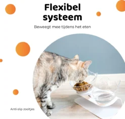 ACE Pets Ergonomische Voerbak Kat - Kattenvoerbakjes - Drinkbak Kat - Kat Voerbak -Dierenwinkel 1200x1141 4