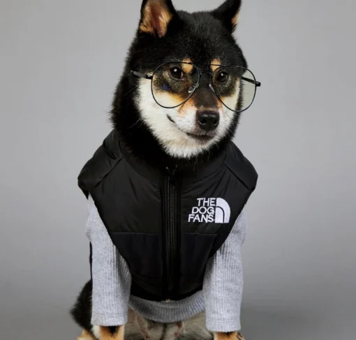 Db Hondenjas The Dog Fans - Hondenbodywarmer - Hondentrui - Hondenkleding - Dierenkleding - Honden Bodywarmer - Zwart -Dierenwinkel 1200x1146 23