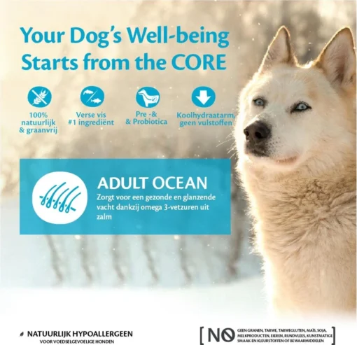 Wellness Core Grain Free Dog Ocean Zalm&Tonijn - Hondenvoer - 10 Kg -Dierenwinkel 1200x1160 2