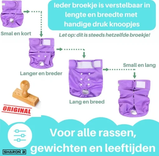 Loopsheidbroekje Hond - Bloemenprint - Maat L - Voor Grotere Teefjes - Herbruikbaar - Hondenbroekje - Hondenluier - Loopsheid - Ongesteldheid - Voorkomt Ongewenste Zwangerschappen Bij Teefjes - Milieuvriendelijk - Verantwoord - Perfecte Pasvorm -Dierenwinkel 1200x1173 11