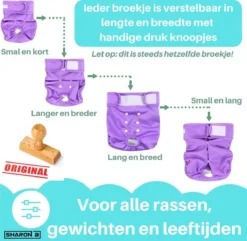 Loopsheidbroekje Hond - Bloemenprint - Maat XXL - Voor Grote Teefjes - Herbruikbaar - Hondenbroekje - Hondenluier - Loopsheid - Ongesteldheid - Voorkomt Ongewenste Zwangerschappen Bij Teefjes - Milieuvriendelijk - Verantwoord - Perfecte Pasvorm -Dierenwinkel 1200x1173 14