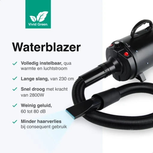 Vivid Green Waterblazer Met 3 Opzetstukken - Hondenfohn - Voor Honden - Met Geluiddemper - 2800W -Dierenwinkel 1200x1200 2