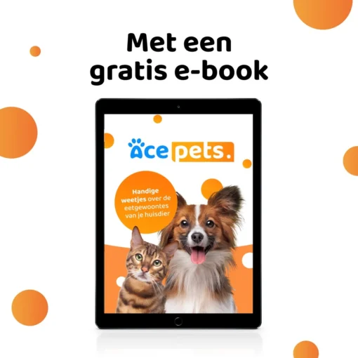 ACE Pets Ergonomische Voerbak Kat - Kattenvoerbakjes - Drinkbak Kat - Kat Voerbak -Dierenwinkel 1200x1200 464