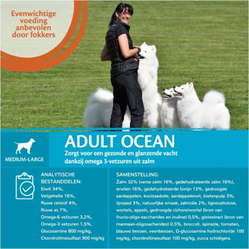 Wellness Core Grain Free Dog Ocean Zalm&Tonijn - Hondenvoer - 10 Kg -Dierenwinkel 1200x1200 568