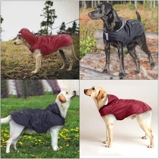 Honden Regenjas Zwart - Honden Poncho - Maat XL (ruglengte 40cm) -Dierenwinkel 1200x1200 895