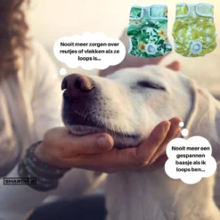 Loopsheidbroekje Hond - Bloemenprint - Maat L - Voor Grotere Teefjes - Herbruikbaar - Hondenbroekje - Hondenluier - Loopsheid - Ongesteldheid - Voorkomt Ongewenste Zwangerschappen Bij Teefjes - Milieuvriendelijk - Verantwoord - Perfecte Pasvorm -Dierenwinkel 1200x1200 902