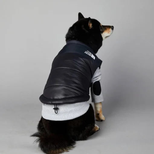 Db Hondenjas The Dog Fans - Hondenbodywarmer - Hondentrui - Hondenkleding - Dierenkleding - Honden Bodywarmer - Zwart -Dierenwinkel 1200x1200 919