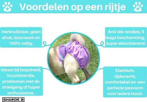 Loopsheidbroekje Hond - Bloemenprint - Maat L - Voor Grotere Teefjes - Herbruikbaar - Hondenbroekje - Hondenluier - Loopsheid - Ongesteldheid - Voorkomt Ongewenste Zwangerschappen Bij Teefjes - Milieuvriendelijk - Verantwoord - Perfecte Pasvorm -Dierenwinkel 1200x833 4