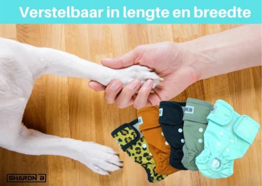 Loopsheidbroekje Hond - Bruin - Maat S - Voor Kleine Honden - Herbruikbaar - Hondenbroekje - Hondenluier - Loopsheid - Ongesteldheid - Voorkomt Ongewenste Zwangerschappen Bij Teefjes - Milieuvriendelijk - Verantwoord - Perfecte Pasvorm -Dierenwinkel 1200x851 6