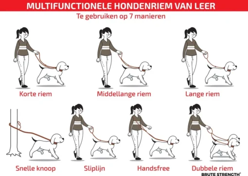 Multifunctionele Hondenriem - 220cm - Bruin - Leren Hondenriem - 100% Volnerfleer - Hondenriem Leer - Leiband Hond -Dierenwinkel