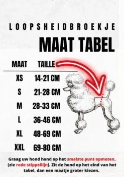 Loopsheidbroekje Hond - Bruin - Maat S - Voor Kleine Honden - Herbruikbaar - Hondenbroekje - Hondenluier - Loopsheid - Ongesteldheid - Voorkomt Ongewenste Zwangerschappen Bij Teefjes - Milieuvriendelijk - Verantwoord - Perfecte Pasvorm -Dierenwinkel 848x1200 3