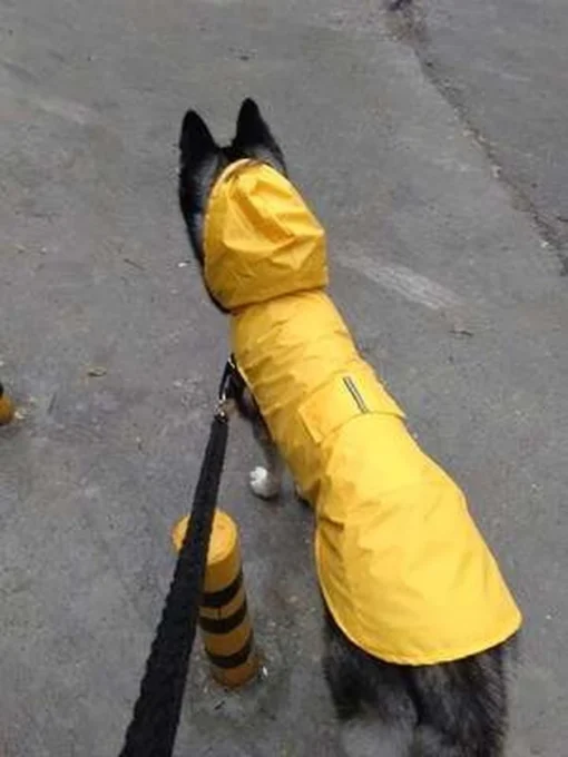 Honden Regenjas Geel - Honden Poncho - Maat XXL (ruglengte 50cm) -Dierenwinkel 900x1200 23