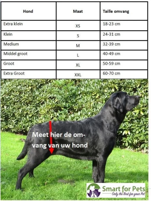 Duvo Honden Loopsheidsbroekje XXL -Dierenwinkel 906x1200 5